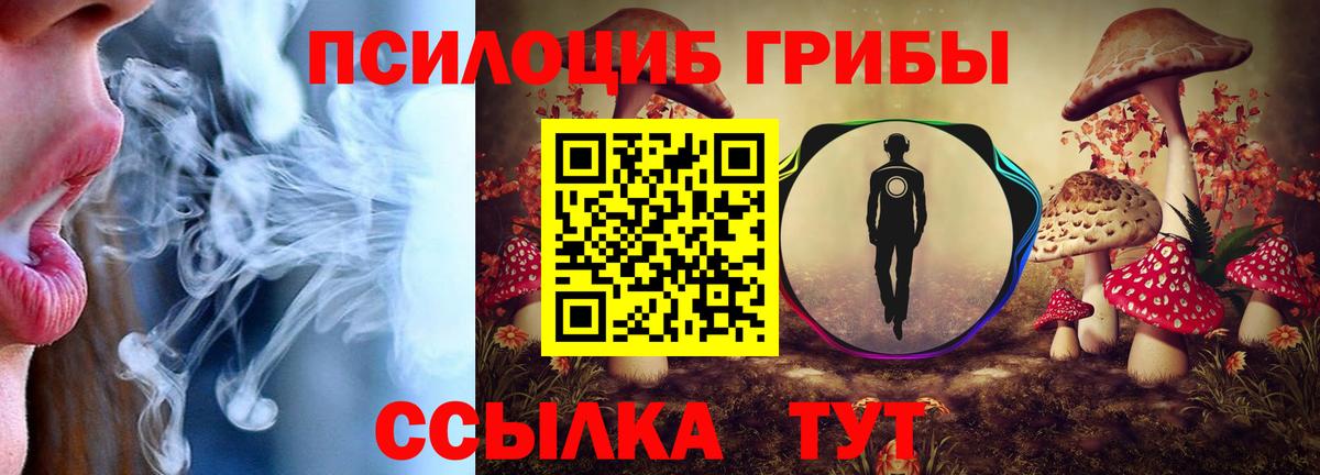 Галлюциногенные грибы MAGIC MUSHROOMS Новокуйбышевск