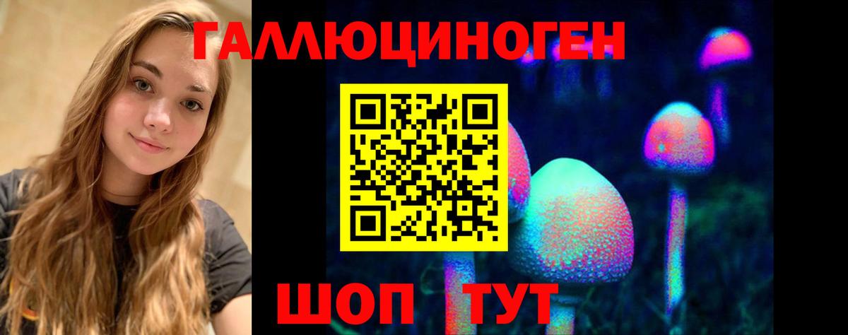 Псилоцибиновые грибы MAGIC MUSHROOMS  Вход с VPN  Новокуйбышевск 